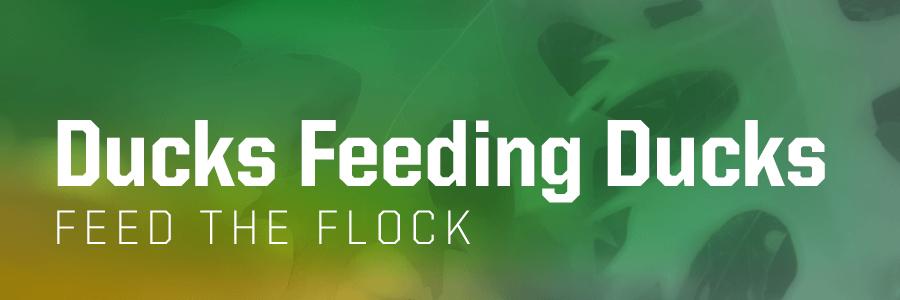 Ducks Feeding Ducks: Feed the Flock